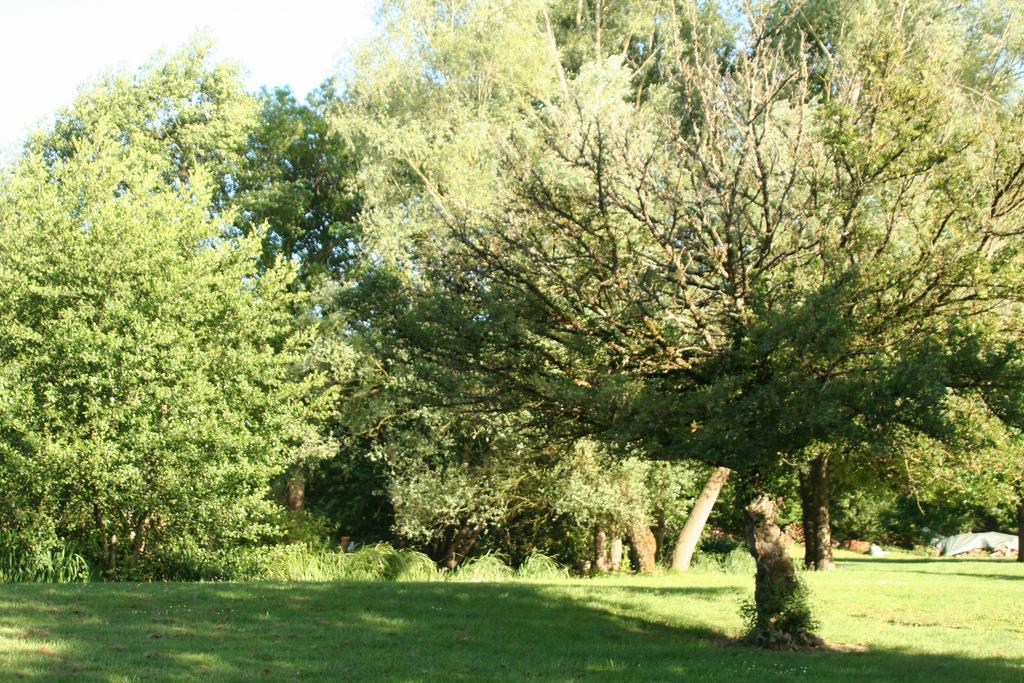 Le Petit Moulin Bed & Breakfast Faverelles Bagian luar foto
