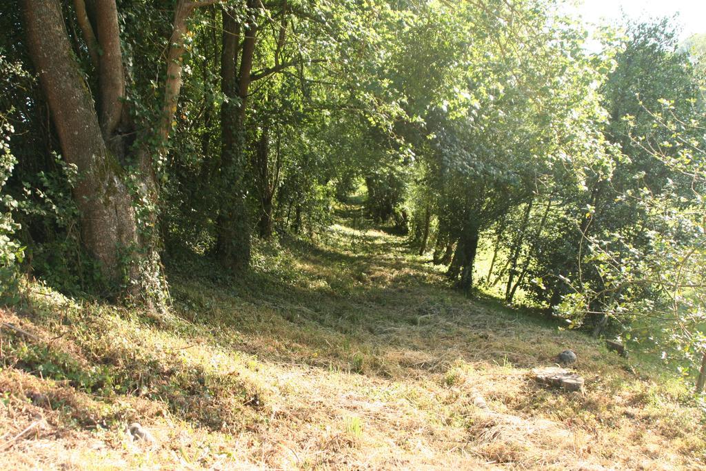 Le Petit Moulin Bed & Breakfast Faverelles Bagian luar foto