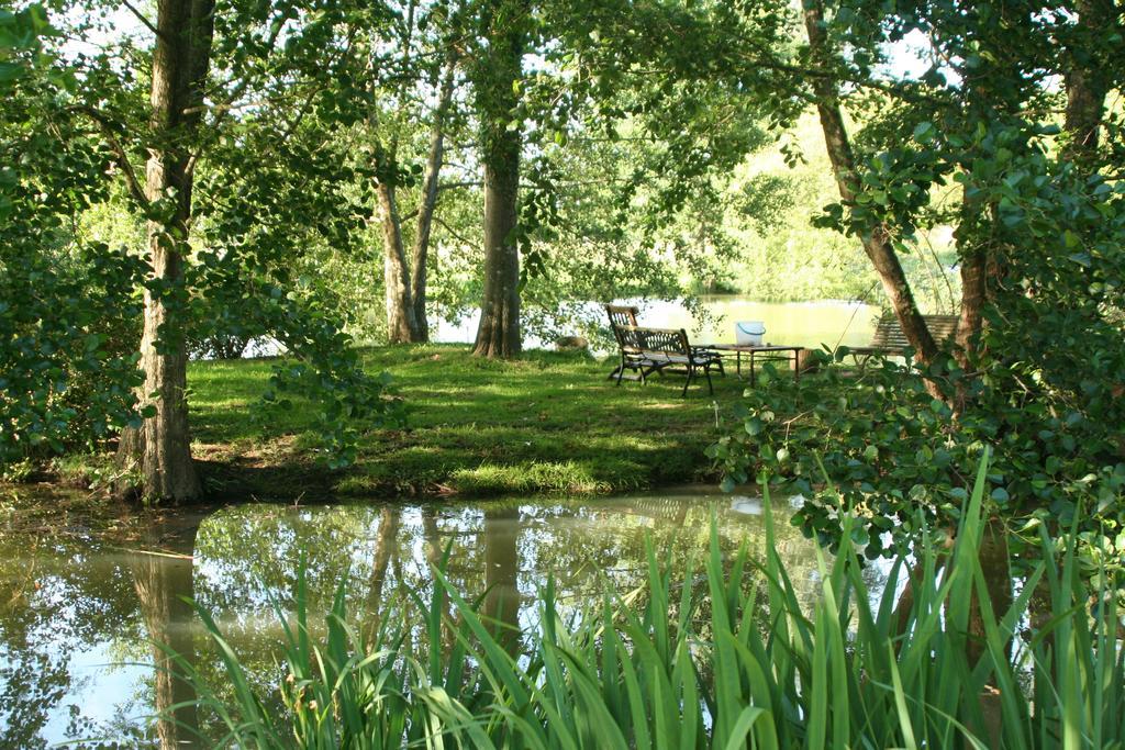 Le Petit Moulin Bed & Breakfast Faverelles Bagian luar foto