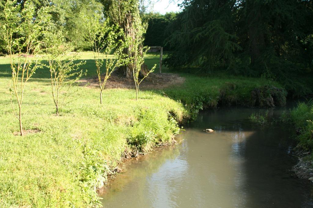 Le Petit Moulin Bed & Breakfast Faverelles Bagian luar foto
