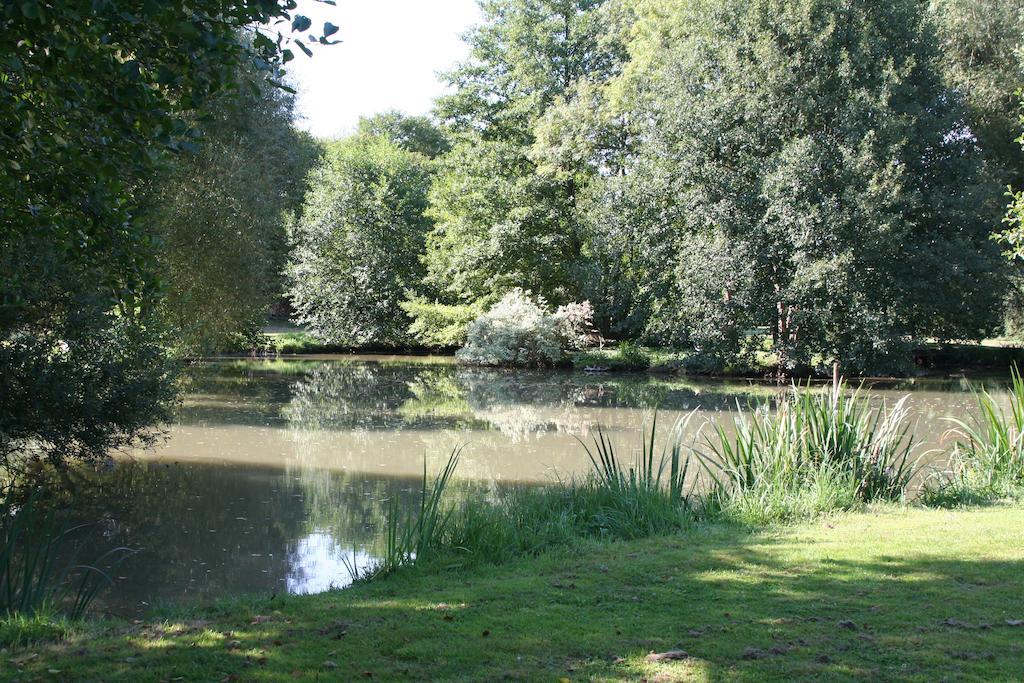 Le Petit Moulin Bed & Breakfast Faverelles Bagian luar foto